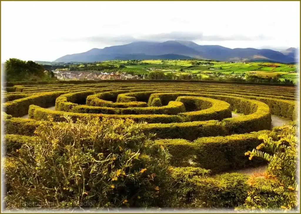 Peace Maze, Northern Ireland