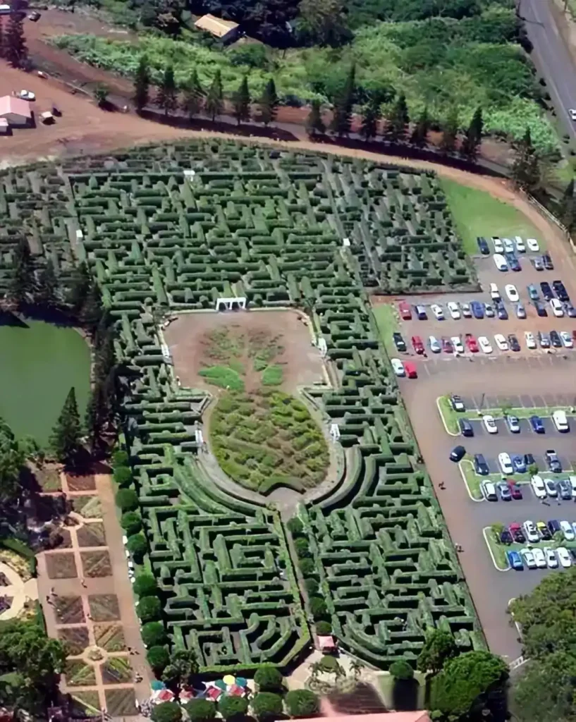 Pineapple Garden Maze, USA