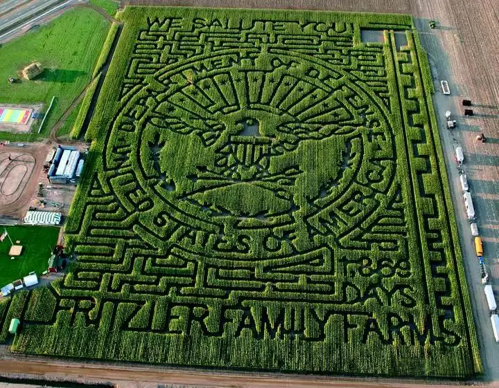 corn-maze