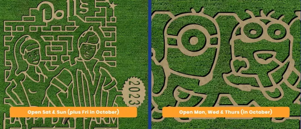 happy-day-farmn-corn-maze