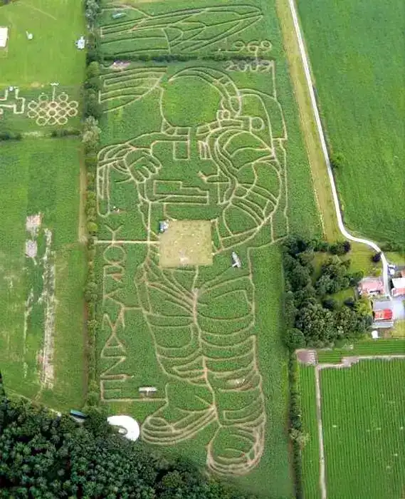 The York Maze, England