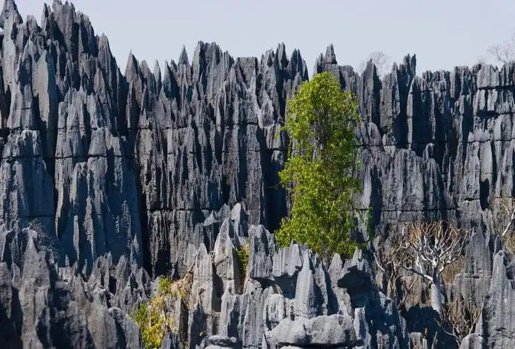 bemaraha-1