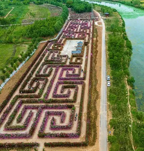china-rose-maze-1