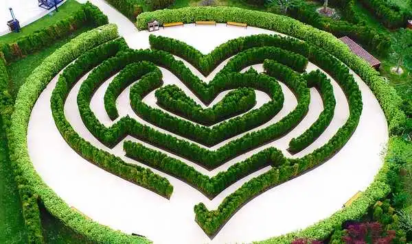 dafeng-dream-maze-8