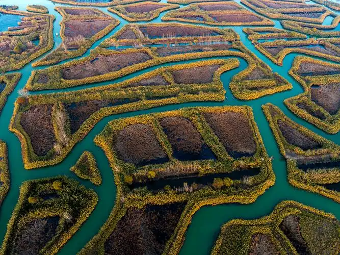 hong-ze-reed-maze-2