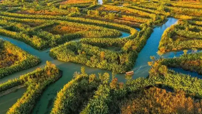 hong-ze-reed-maze-5