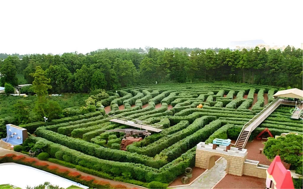 kimnyoung-maze-1