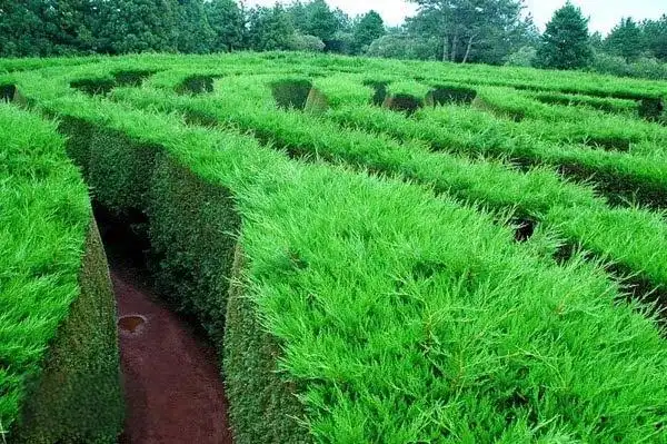 kimnyoung-maze-4