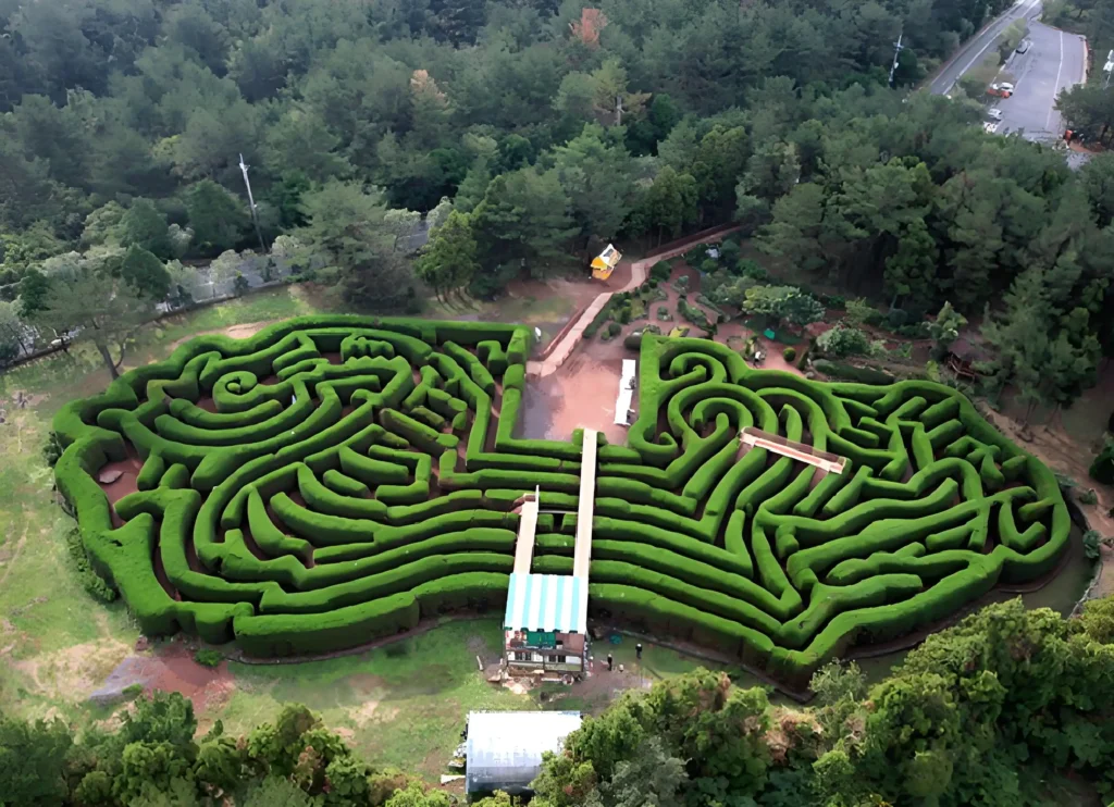 kimnyoung-maze-5
