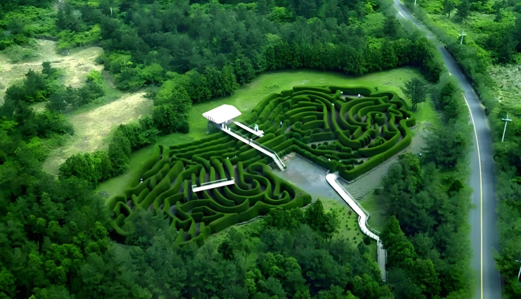 kimnyoung-maze-6
