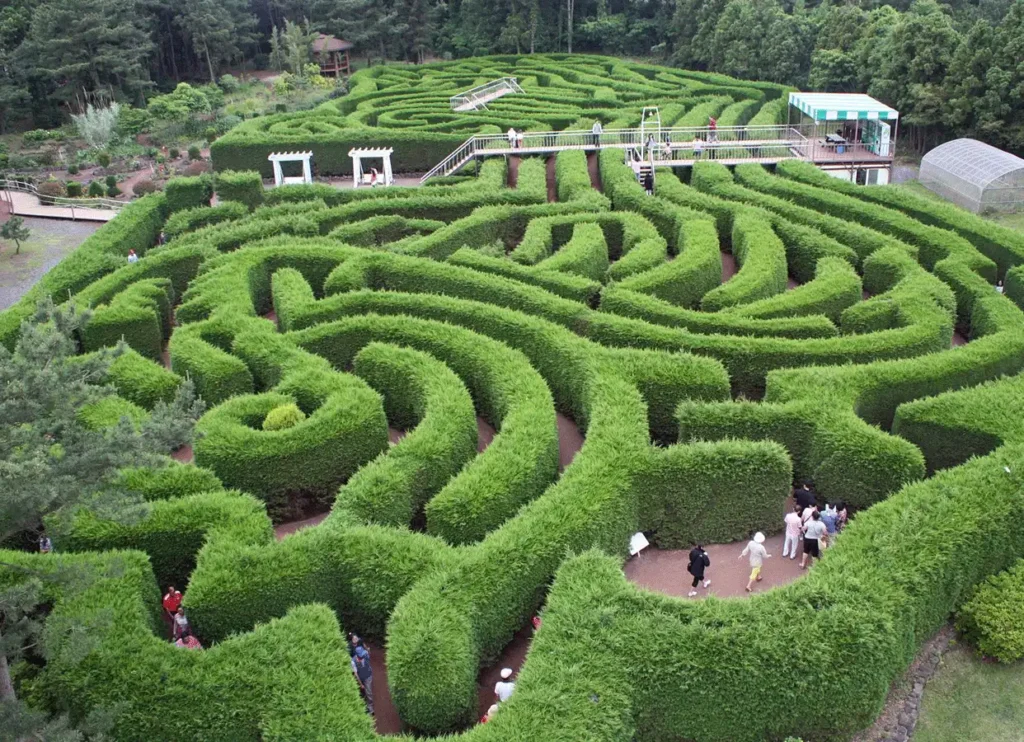 kimnyoung-maze-7