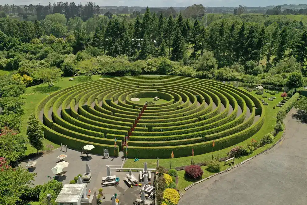 amazeme-maze-2