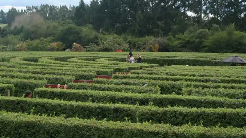 amazeme-maze-5
