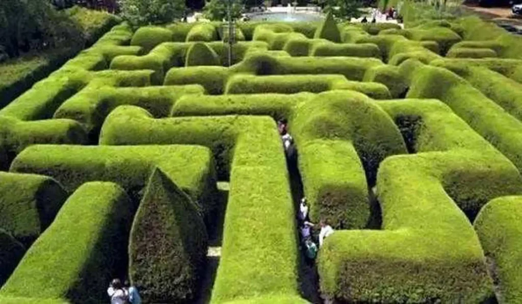 ashcombe-maze-2