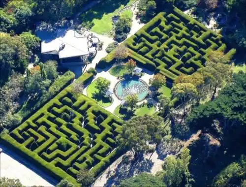 ashcombe-maze-3