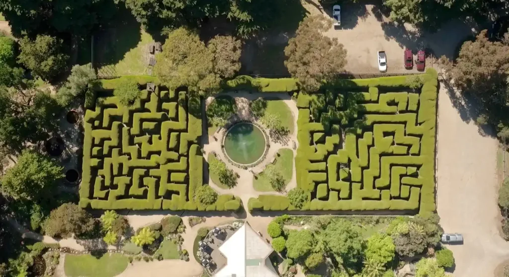 ashcombe-maze-4