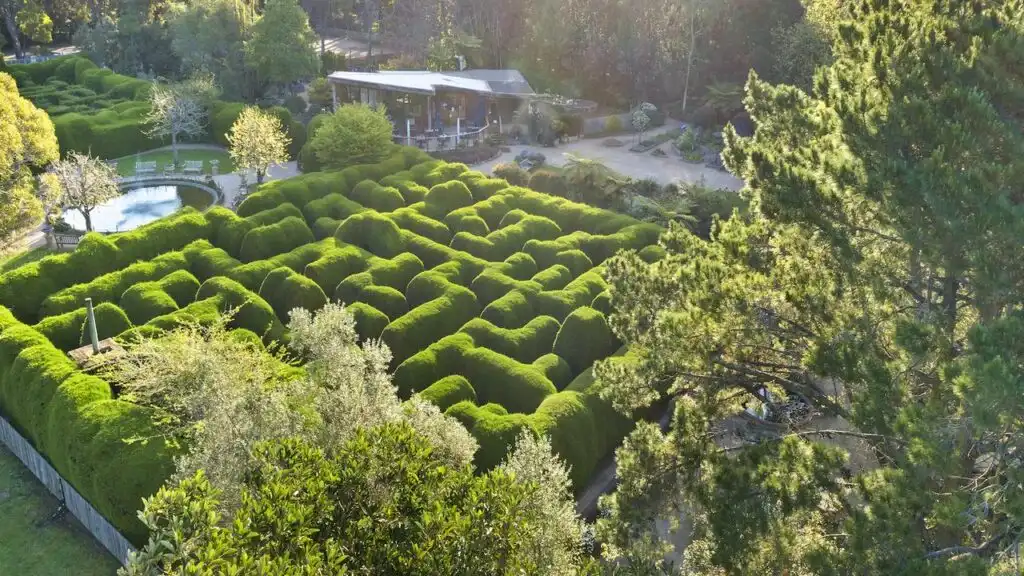ashcombe-maze-5
