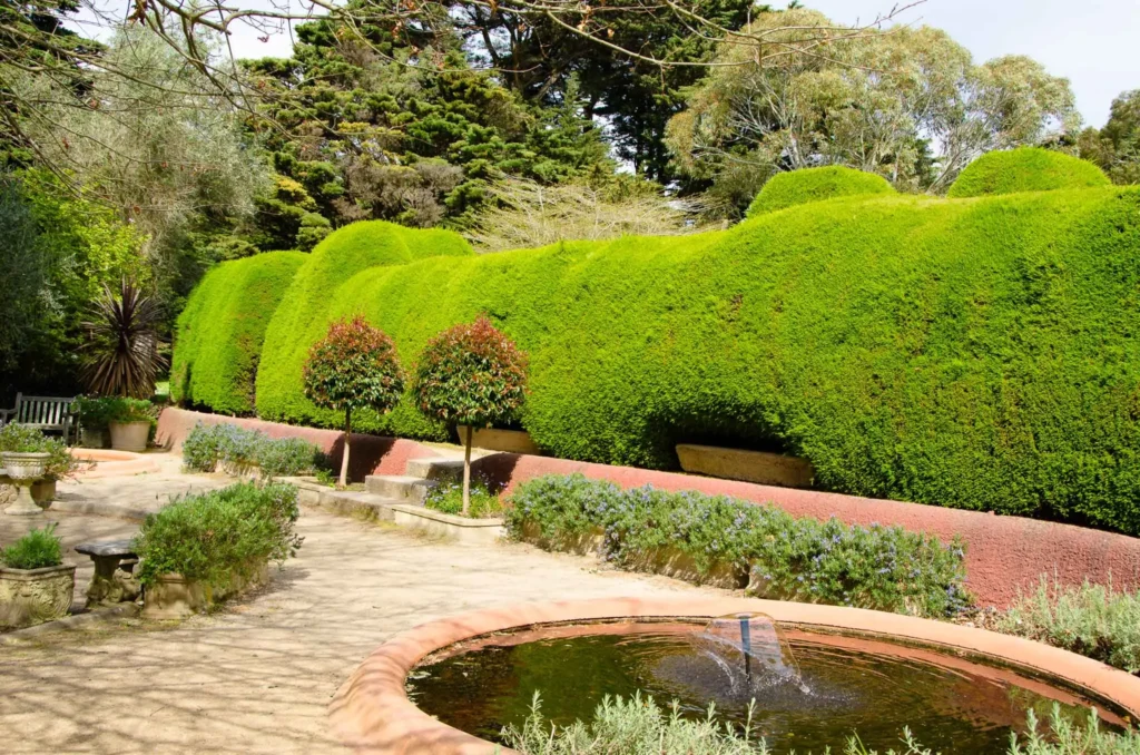 ashcombe-maze-6