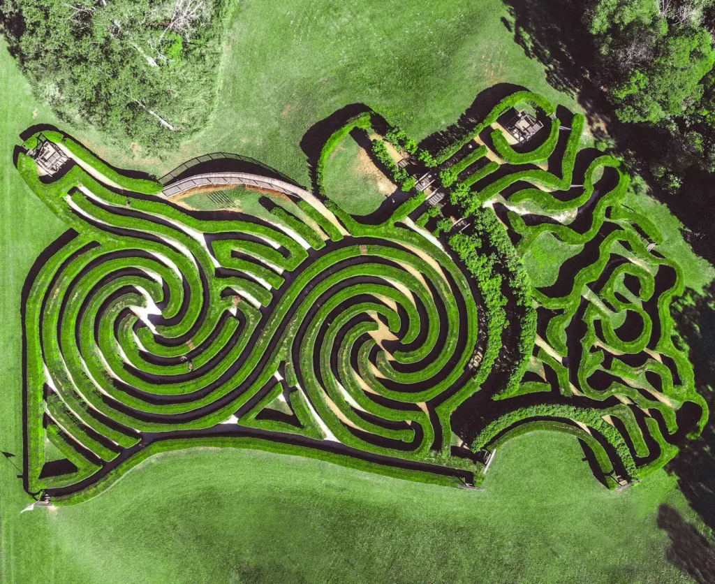bago-maze-1