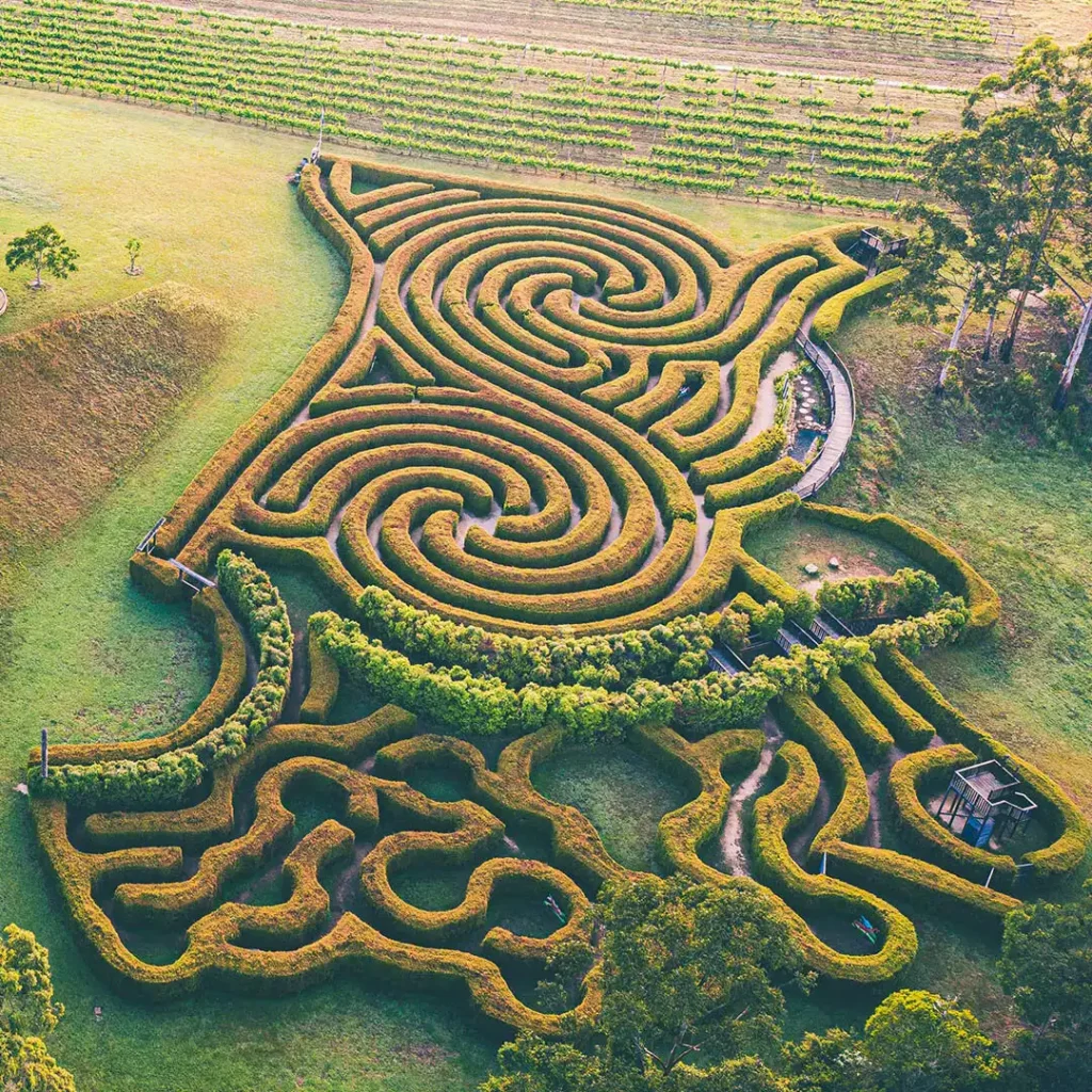 bago-maze-2