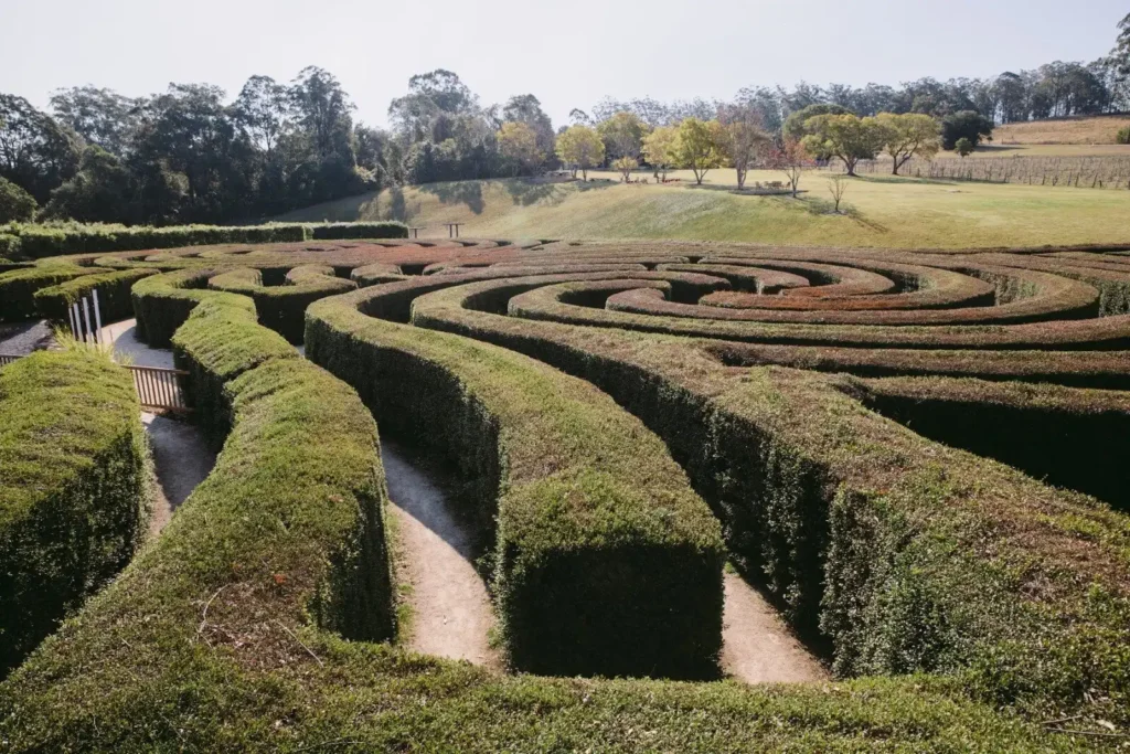 bago-maze-3