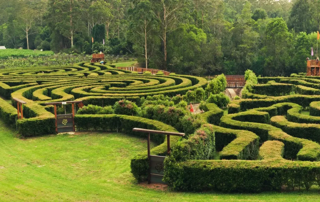 bago-maze-5