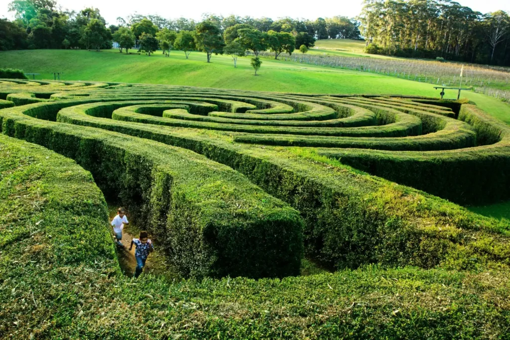 bago-maze-6
