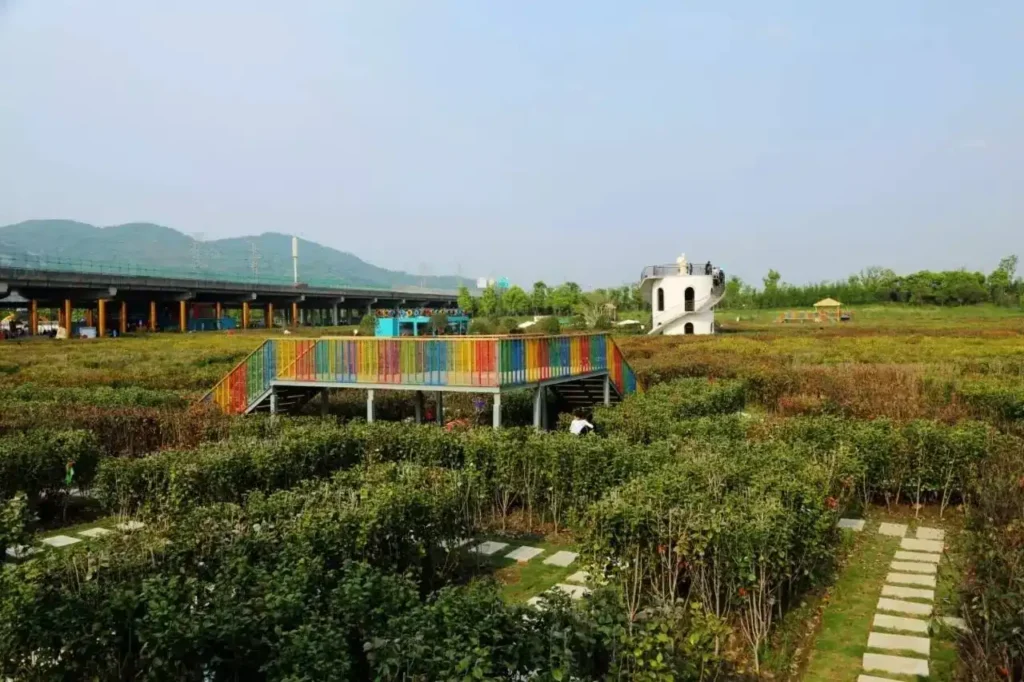 butterfly-maze-1