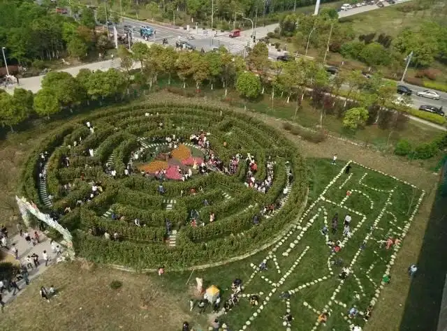 butterfly-maze-10