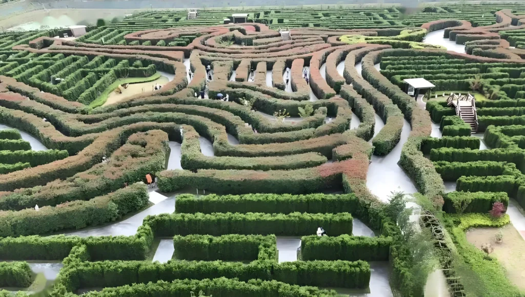 butterfly-maze-2