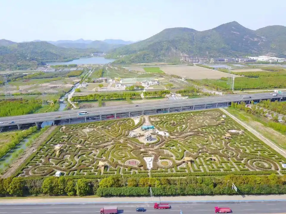 butterfly-maze-4