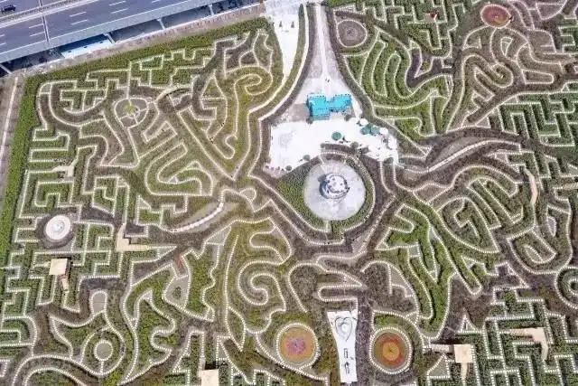 butterfly-maze-7