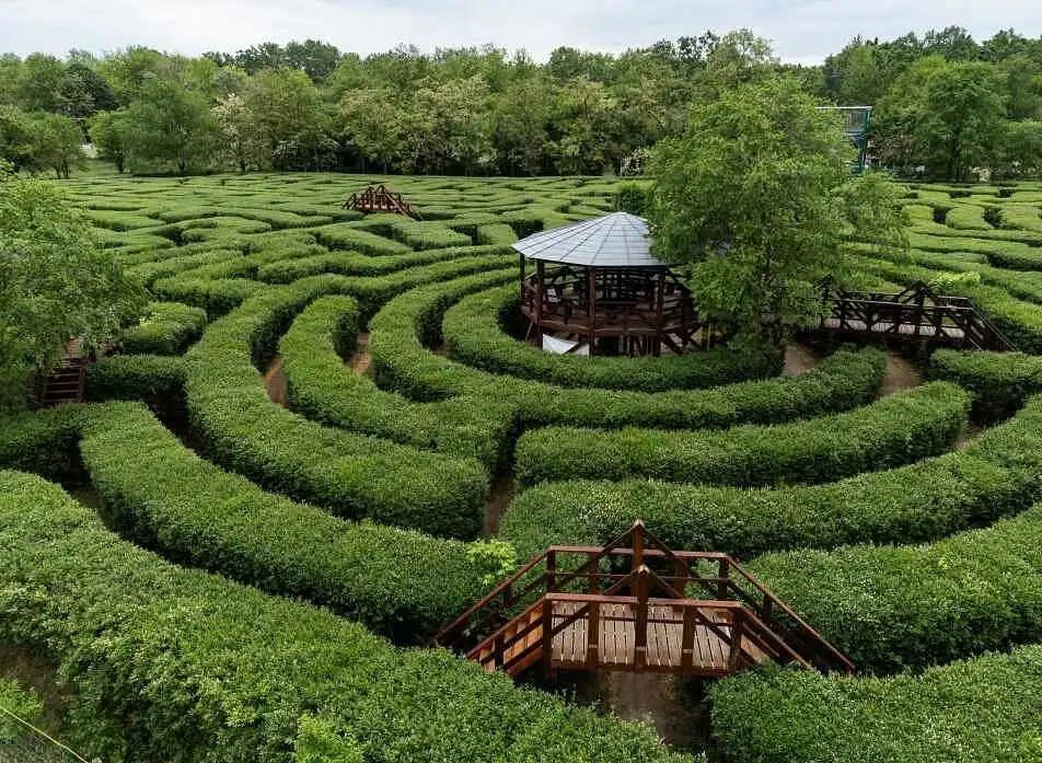 csillagosveny-labyrinth-opusztaszer-2