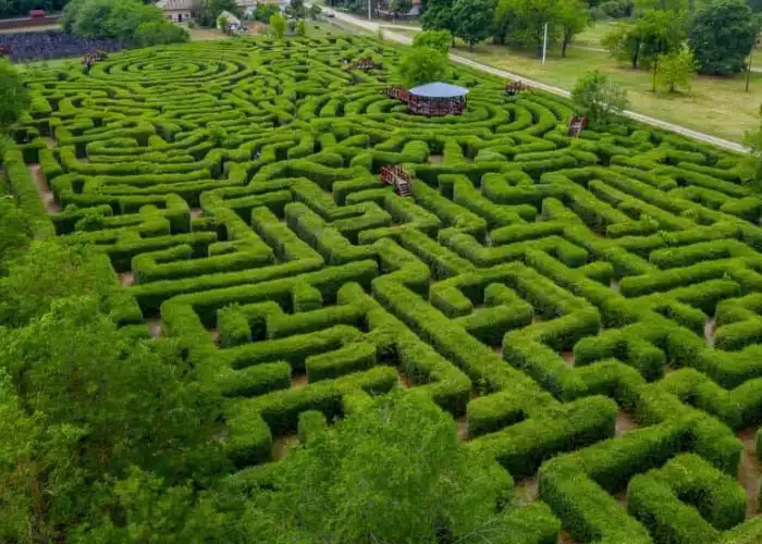 csillagosveny-labyrinth-opusztaszer-4