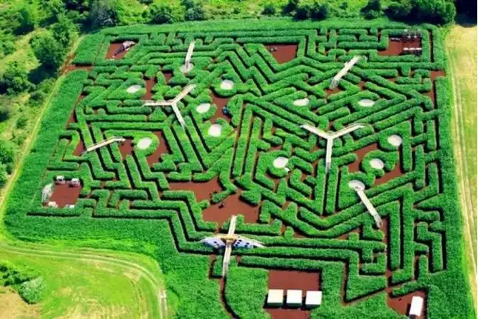 davis-mega-maze-1