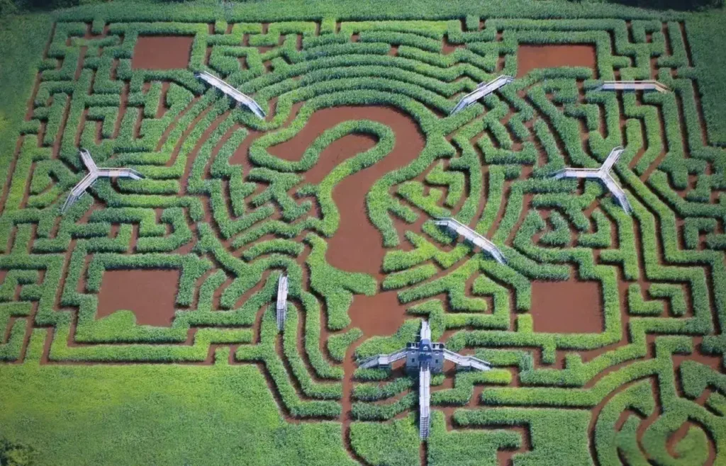 davis-mega-maze-2