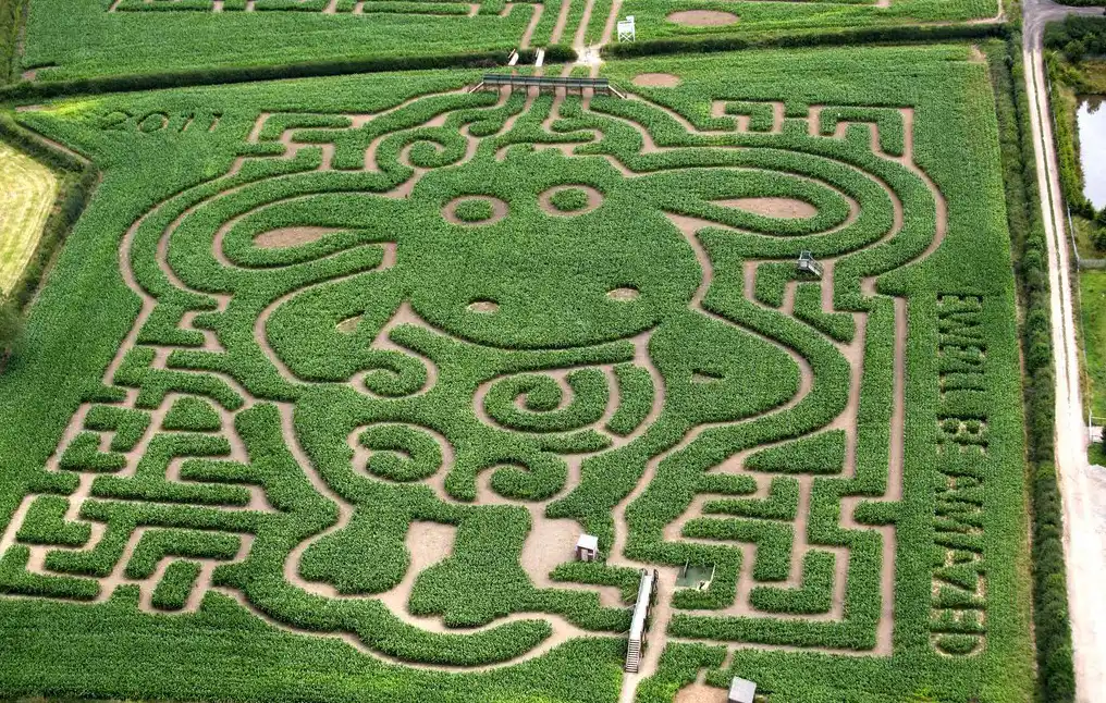 davis-mega-maze-3