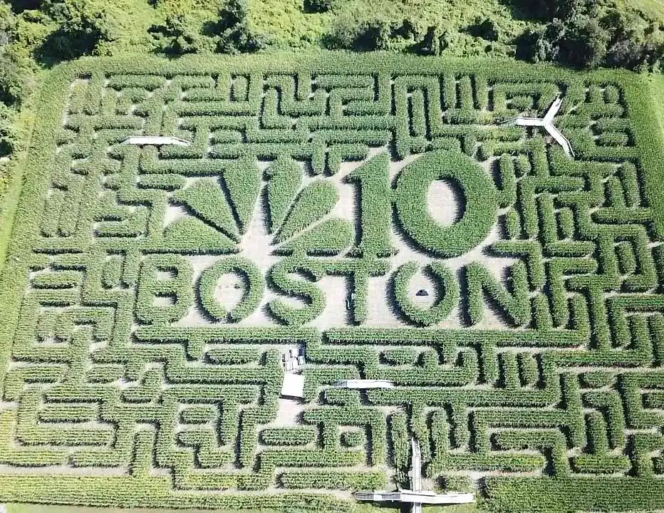 davis-mega-maze-4