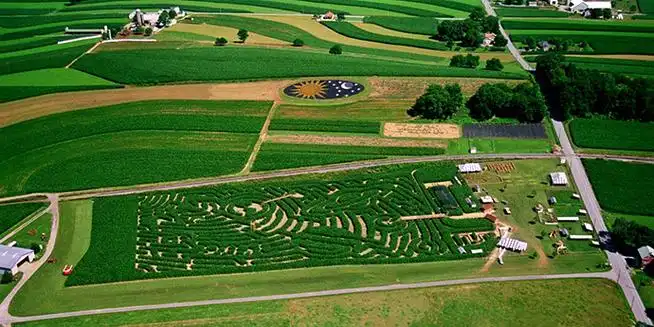 davis-mega-maze-5