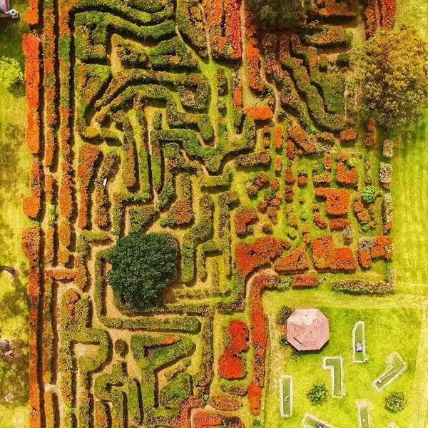granties-maze-3