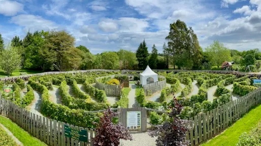 greenan-maze-3