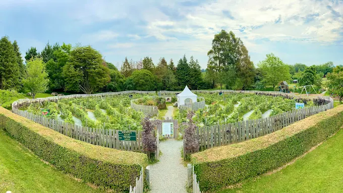 greenan-maze-6