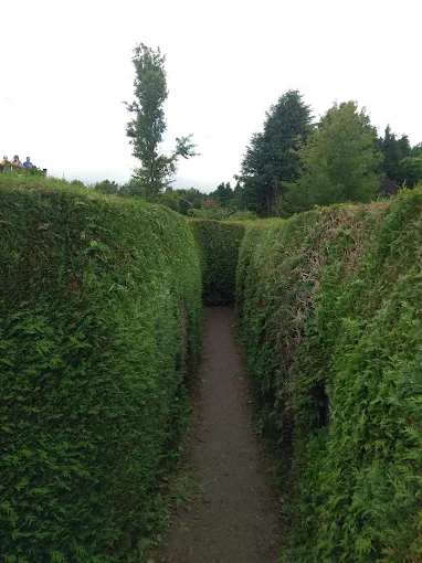 greenan-maze-8
