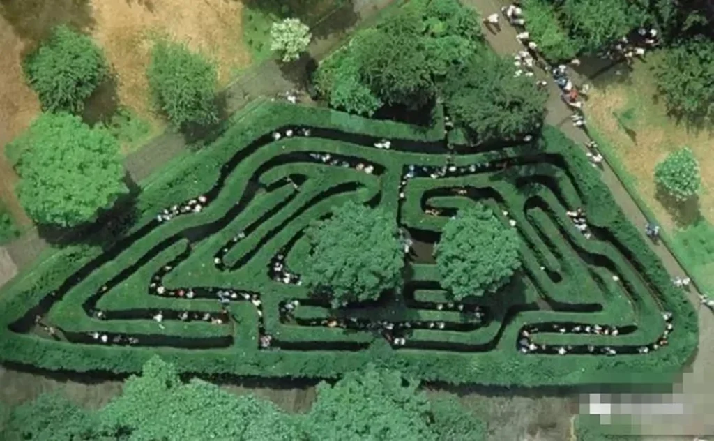 hampton-palace-maze-5