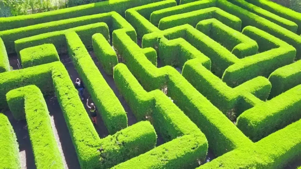 harpers-mansion-maze-2