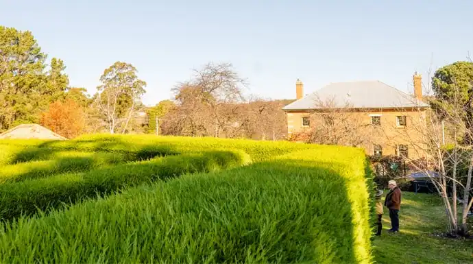 harpers-mansion-maze-4