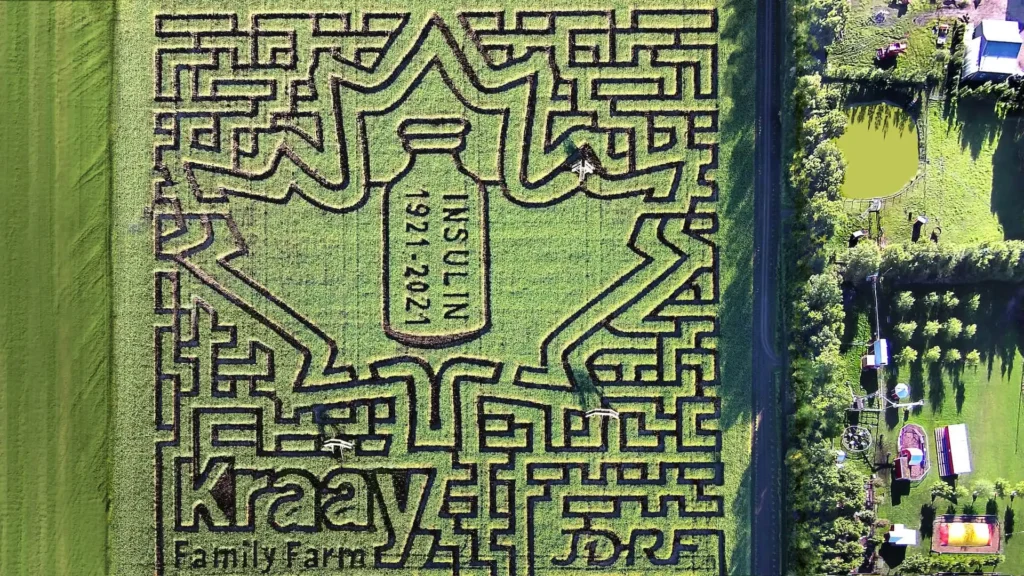 lacombe-corn-maze-alberta-1