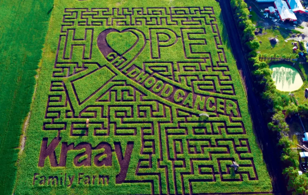 lacombe-corn-maze-alberta-2