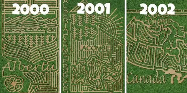 lacombe-corn-maze-alberta-5