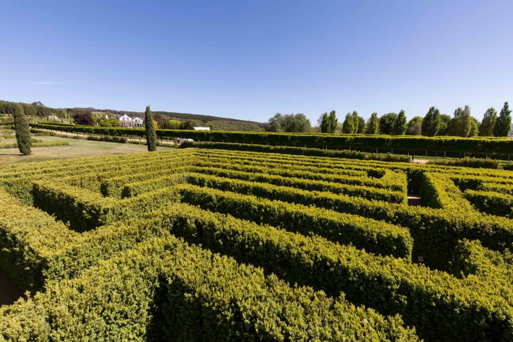 mayfield-garden-maze-3